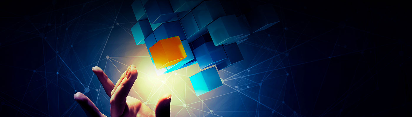 VMware NSX/Pluribus Networks